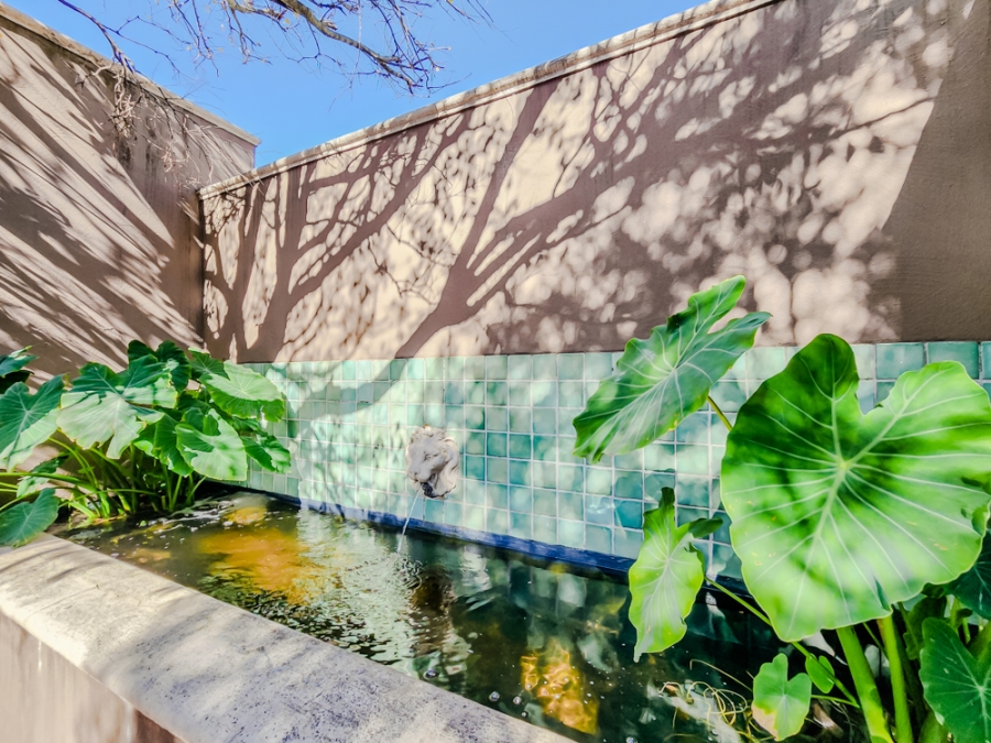 4 Bedroom Property for Sale in Oranjezicht Western Cape